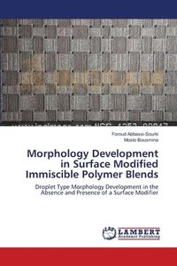 bokomslag Morphology Development in Surface Modified Immiscible Polymer Blends