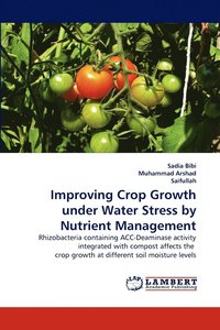 bokomslag Improving Crop Growth under Water Stress by Nutrient Management