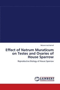 bokomslag Effect of Natrum Muraticum on Testes and Ovaries of House Sparrow