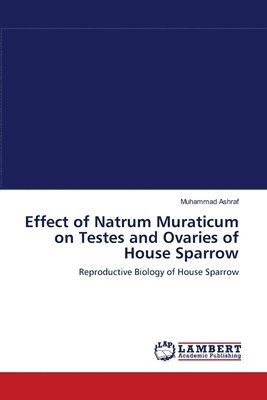 Effect of Natrum Muraticum on Testes and Ovaries of House Sparrow 1