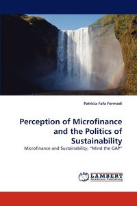 bokomslag Perception of Microfinance and the Politics of Sustainability