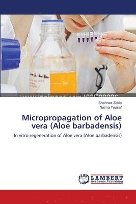 bokomslag Micropropagation of Aloe vera (Aloe barbadensis)