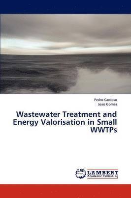 Wastewater Treatment and Energy Valorisation in Small Wwtps 1