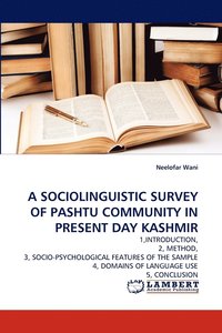 bokomslag A Sociolinguistic Survey of Pashtu Community in Present Day Kashmir