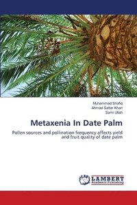 bokomslag Metaxenia In Date Palm