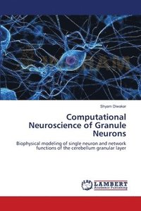 bokomslag Computational Neuroscience of Granule Neurons
