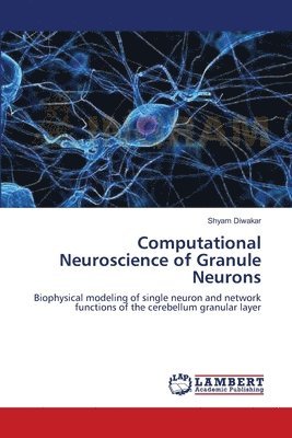 Computational Neuroscience of Granule Neurons 1