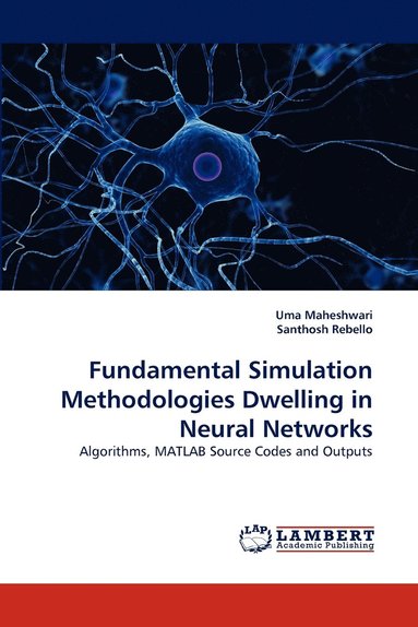 bokomslag Fundamental Simulation Methodologies Dwelling in Neural Networks