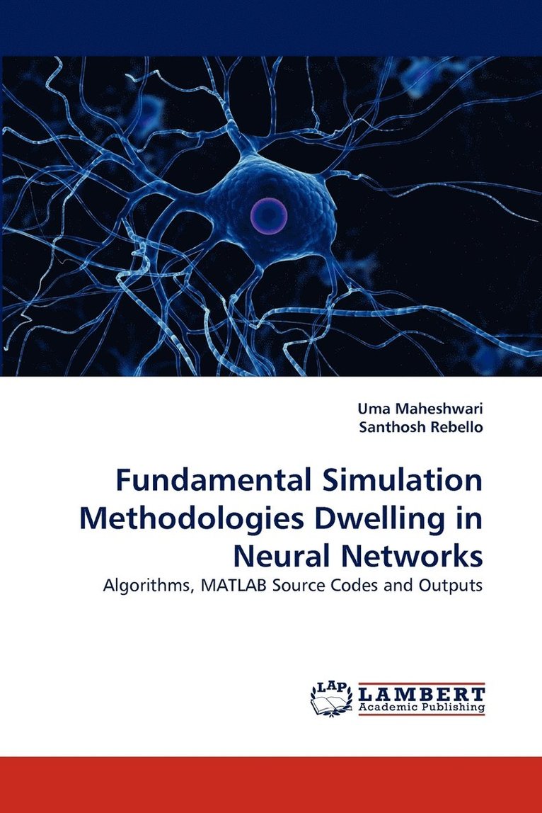 Fundamental Simulation Methodologies Dwelling in Neural Networks 1