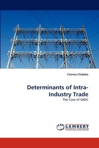 bokomslag Determinants of Intra-Industry Trade