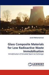 bokomslag Glass Composite Materials for Low Radioactive Waste Immobilisation
