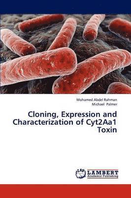 Cloning, Expression and Characterization of Cyt2aa1 Toxin 1