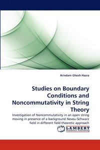 bokomslag Studies on Boundary Conditions and Noncommutativity in String Theory