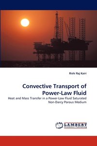 bokomslag Convective Transport of Power-Law Fluid