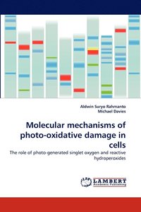 bokomslag Molecular mechanisms of photo-oxidative damage in cells