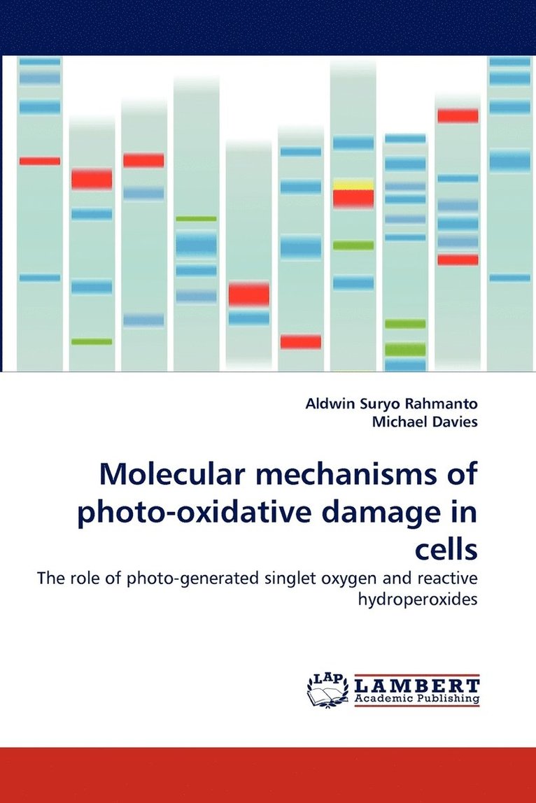 Molecular mechanisms of photo-oxidative damage in cells 1