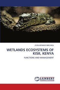 bokomslag Wetlands Ecosystems of Kisii, Kenya