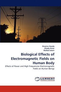 bokomslag Biological Effects of Electromagnetic Fields on Human Body