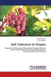 bokomslag Salt Tolerance In Grapes