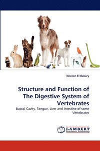 bokomslag Structure and Function of The Digestive System of Vertebrates