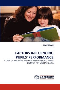 bokomslag Factors Influencing Pupils' Performance