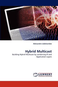 bokomslag Hybrid Multicast