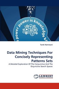bokomslag Data Mining Techniques for Concisely Representing Patterns Sets