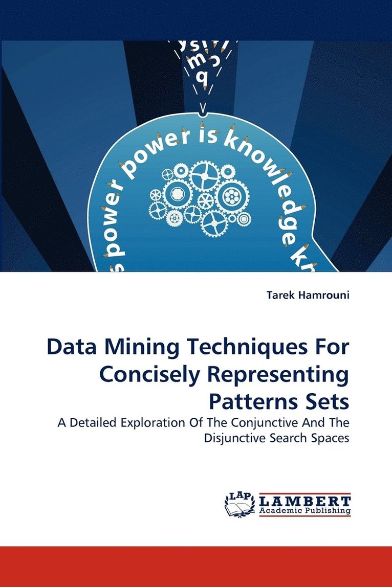 Data Mining Techniques for Concisely Representing Patterns Sets 1