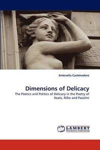 bokomslag Dimensions of Delicacy