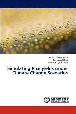 Simulating Rice Yields Under Climate Change Scenarios 1