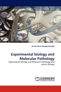 bokomslag Experimental Biology and Molecular Pathology