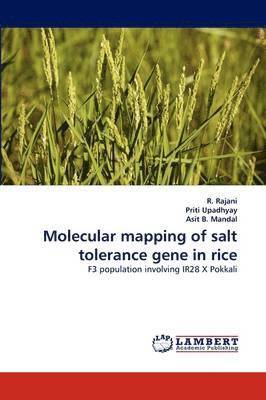 bokomslag Molecular Mapping of Salt Tolerance Gene in Rice