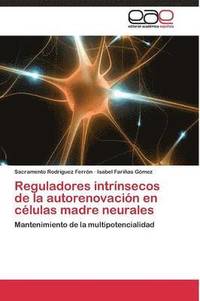 bokomslag Reguladores intrnsecos de la autorenovacin en clulas madre neurales