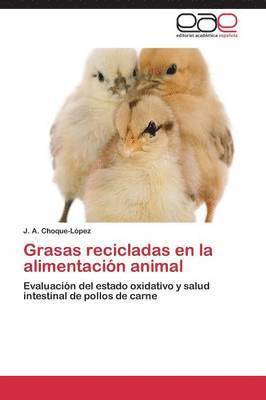 bokomslag Grasas recicladas en la alimentacin animal