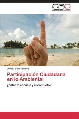 Participacin Ciudadana en lo Ambiental 1