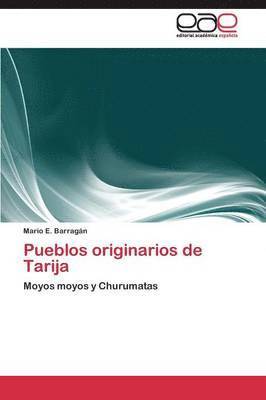 bokomslag Pueblos originarios de Tarija