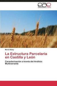 bokomslag La Estructura Parcelaria en Castilla y Len