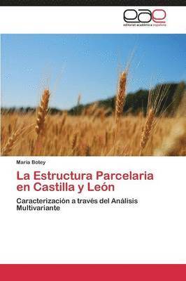 La Estructura Parcelaria en Castilla y Len 1