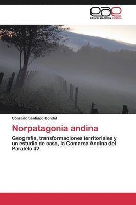 bokomslag Norpatagonia andina