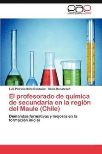 bokomslag El Profesorado de Quimica de Secundaria En La Region del Maule (Chile)