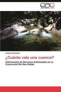 bokomslag Cuanto Vale Una Cuenca?