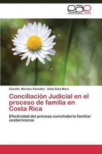 bokomslag Conciliacion Judicial En El Proceso de Familia En Costa Rica