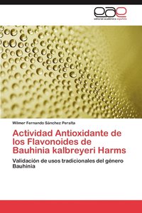 bokomslag Actividad Antioxidante de Los Flavonoides de Bauhinia Kalbreyeri Harms