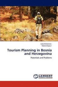 bokomslag Tourism Planning in Bosnia and Herzegovina