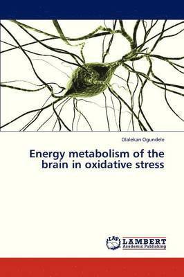 Energy Metabolism of the Brain in Oxidative Stress 1