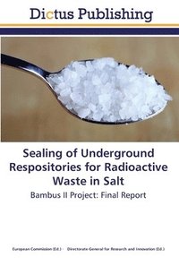 bokomslag Sealing of Underground Respositories for Radioactive Waste in Salt