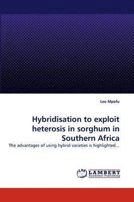 bokomslag Hybridisation to exploit heterosis in sorghum in Southern Africa