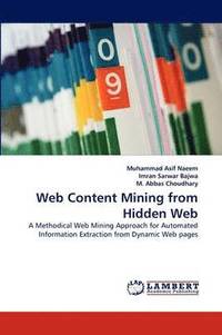 bokomslag Web Content Mining from Hidden Web