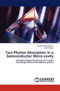 bokomslag Two-Photon Absorption in a Semiconductor Micro-cavity
