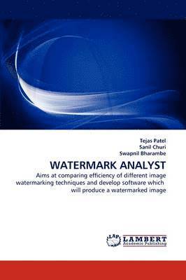 bokomslag Watermark Analyst